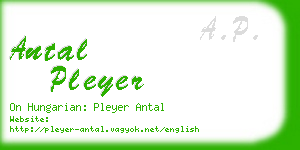 antal pleyer business card